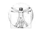 Davinci Vitruvian Man