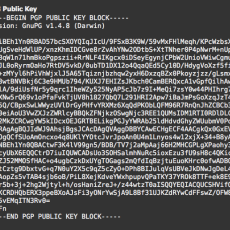 the code of the public key