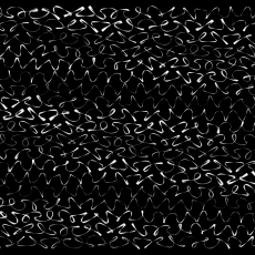 writing3bFancy 20220127_225951, white calligraphy on black background
