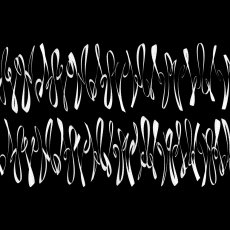 writing3bFancy 20220131_154300, white calligraphy on black background